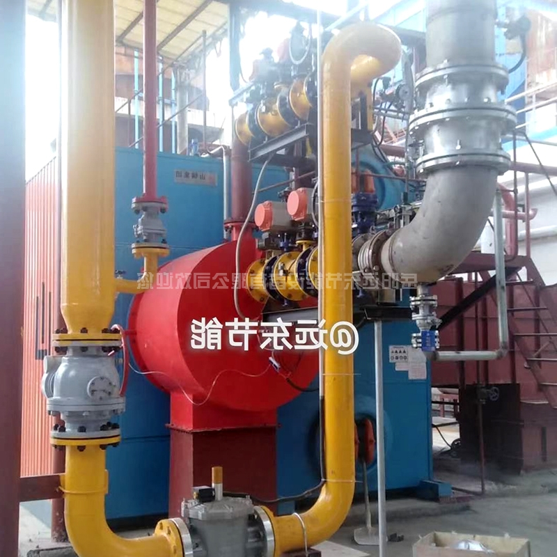 沼气天然气两用超低氮燃烧器