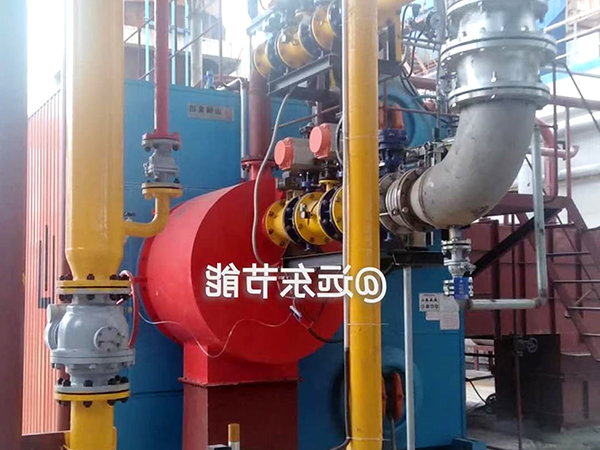 沼气天然气两用超低氮燃烧器